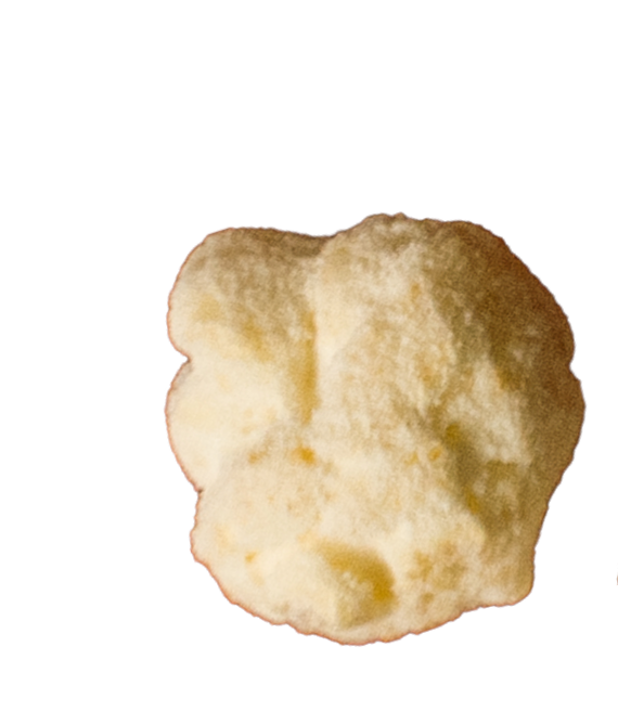 Pipocas